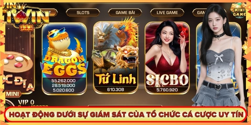 Hệ thống hoạt động dưới sự giám sát chặt chẽ của các tổ chức cá cược uy tín 